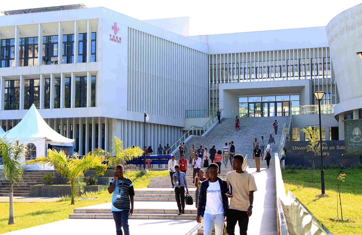 The Digital Backbone of Academic Life: A Comprehensive Guide to ARIS 3 UDSM